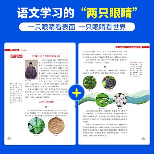 2025春陽光同學(xué)博物課堂語文五年級下冊人教版閱讀理解5年級下冊尋寶學(xué)習(xí)大百科全書閱讀技能提升