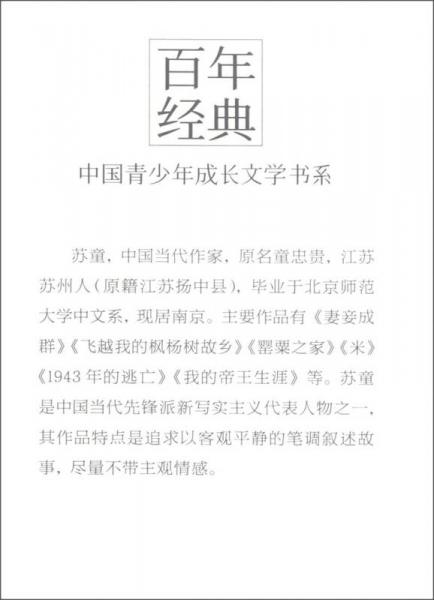 百年经典·中国青少年成长文学书系：刺青时代