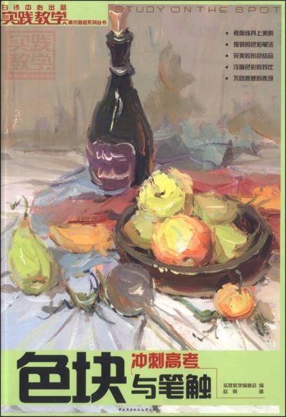 实践教学美术高考系列丛书：色块与笔触