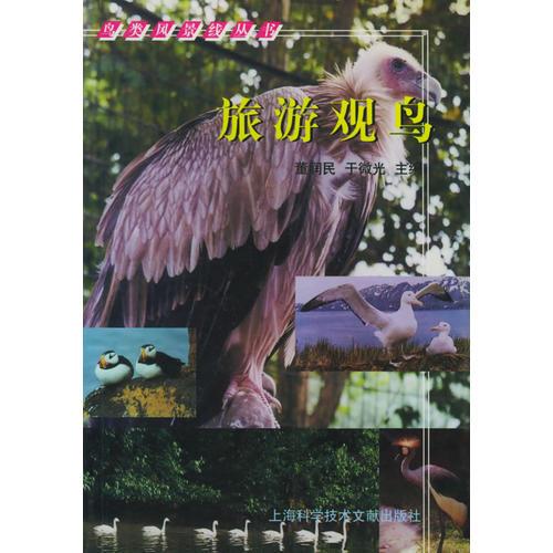 旅游觀(guān)鳥(niǎo)