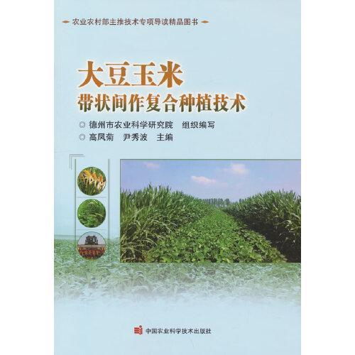大豆玉米帶狀間作復(fù)合種植技術(shù)