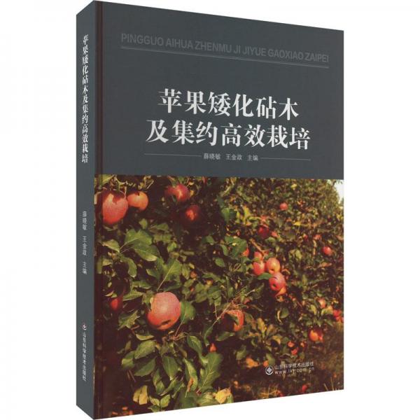 蘋果矮化砧木及集約高效栽培