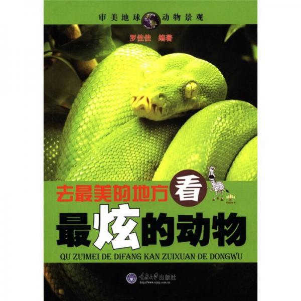 去最美的地方，看最炫的動物