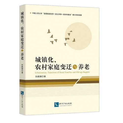 城镇化、农村家庭变迁与养老