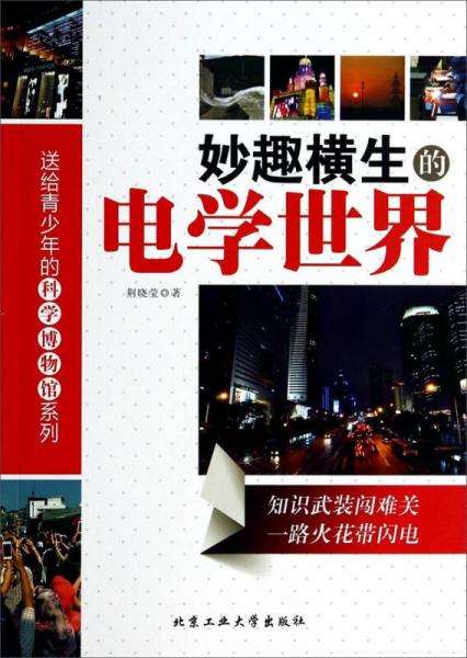 妙趣橫生的電學(xué)世界/送給青少年的科學(xué)博物館系列