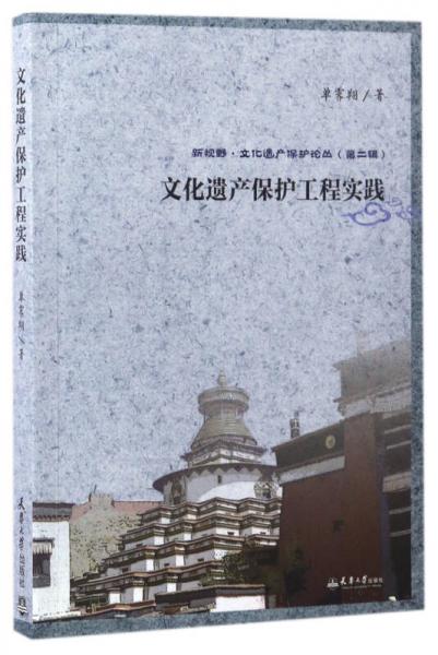 文化遗产保护工程实践/新视野·文化遗产保护论丛