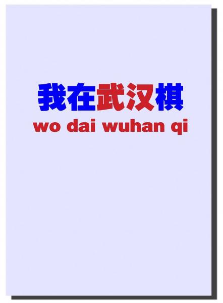 我在武汉棋