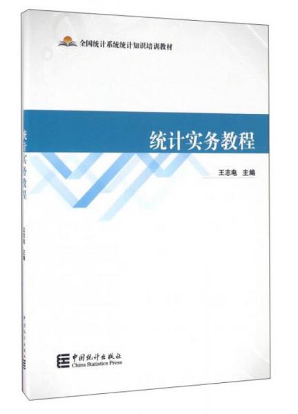 統(tǒng)計(jì)實(shí)務(wù)教程