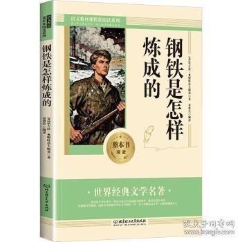 必讀經(jīng)典-鋼鐵是怎樣煉成的課外閱讀書籍 外國小說世界經(jīng)典文學名著暢銷書籍