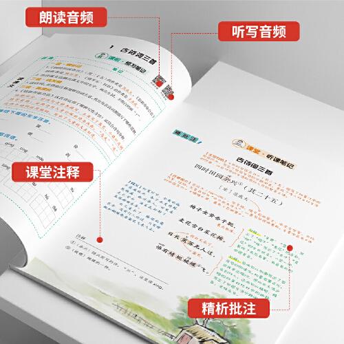 新版随堂笔记四年级下册语文部编人教版小学生重点知识集锦汇总同步解读小学课本全教材解析