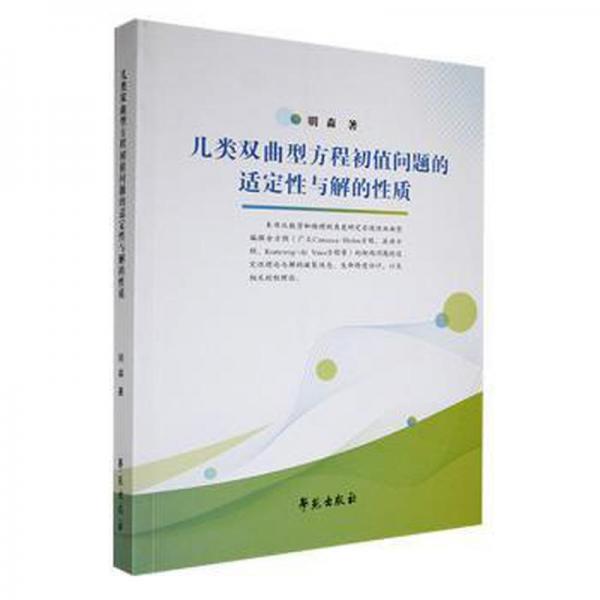 幾類雙曲型方程初值問題的適定與解的質(zhì) 大中專公共數(shù)理化 明森著 新華正版