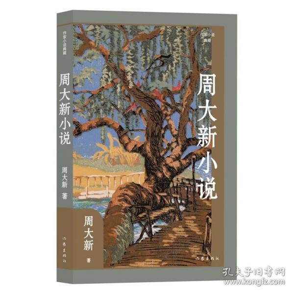 周大新小说