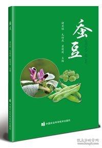 蚕豆