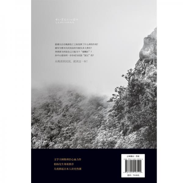 走向辛亥：从孙文崛起看晚清日落