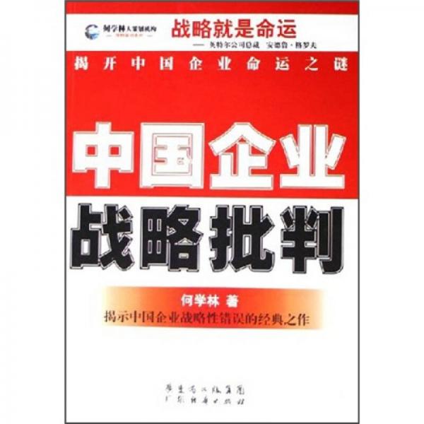 中国企业战略批判