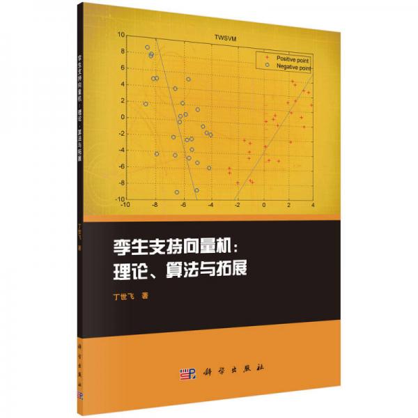 孿生支持向量機：理論、算法與拓展
