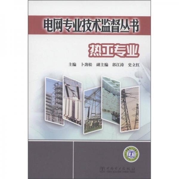 电网专业技术监督丛书：热工专业