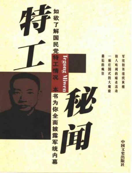 特工秘聞: 軍統(tǒng)活動紀實