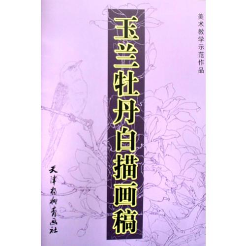玉蘭牡丹白描畫(huà)稿