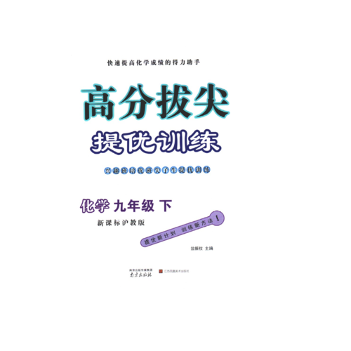 17春9年级化学(下)(新课标沪教版)高分拔尖提优训练