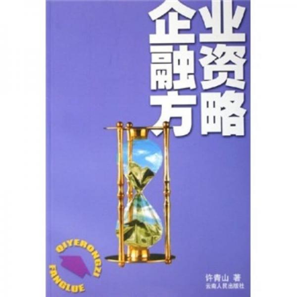 企業(yè)融資方略