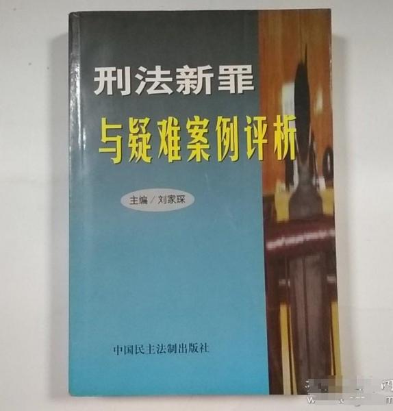 刑法新罪与疑难案例 评析