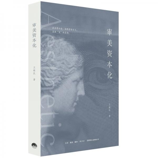 審美資本化 王敬民 著