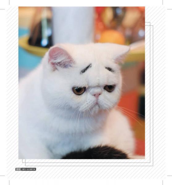 我们一点儿都不丧