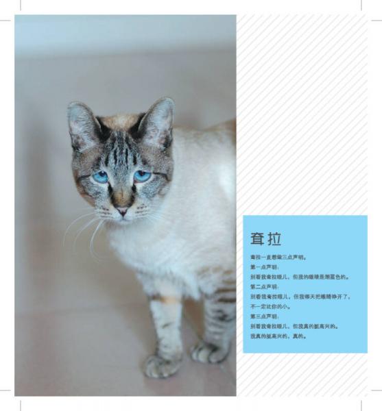 我们一点儿都不丧