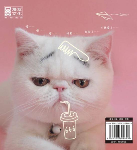 我们一点儿都不丧