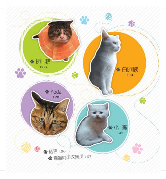 我们一点儿都不丧