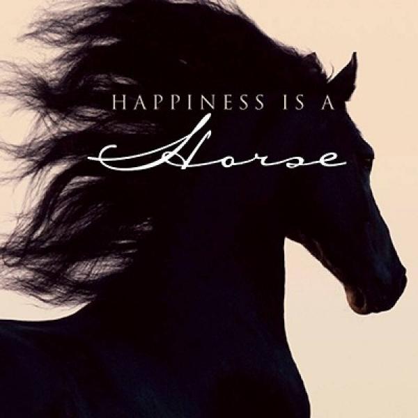 Happiness Is a Horse