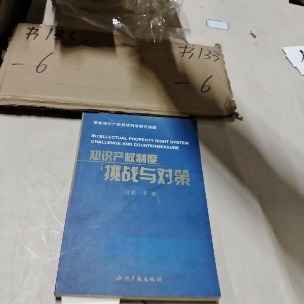 知识产权制度挑战与对策