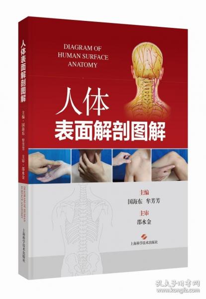 人體表面解剖圖解