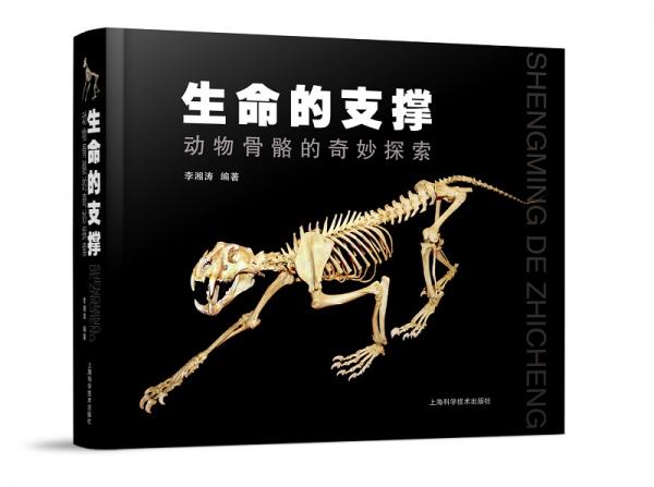 生命的支撐——?jiǎng)游锕趋赖钠婷钐剿? onerror=
