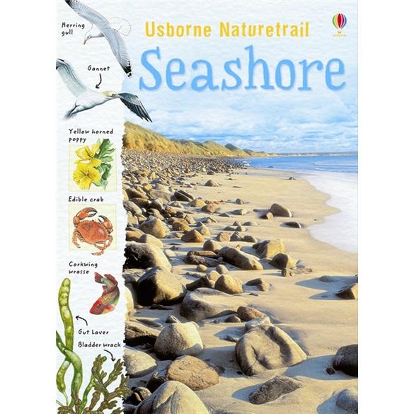 Seashore