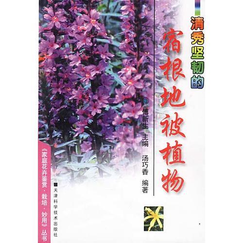 宿根地被植物
