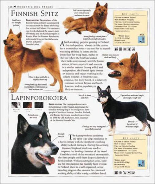 The Encyclopedia of the Dog
