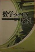 數(shù)學(xué)分析中的反例