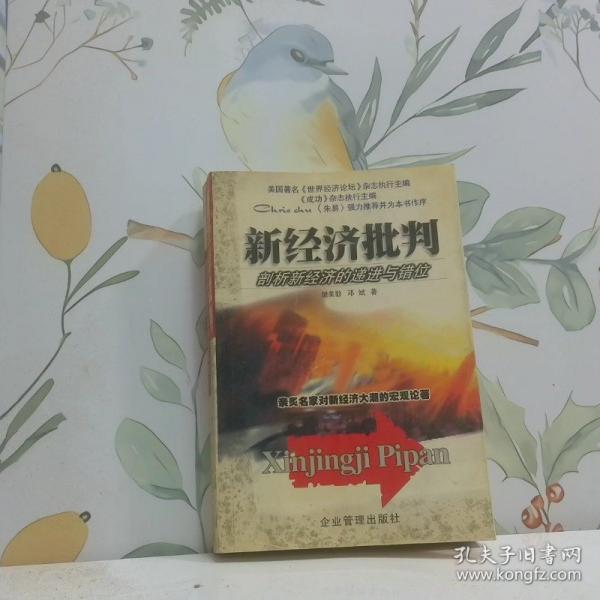 新經(jīng)濟(jì)批判:剖析新經(jīng)濟(jì)的遞進(jìn)與錯(cuò)位