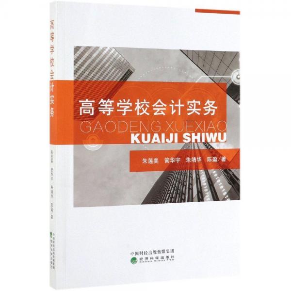 高等學(xué)校會計實務(wù) 