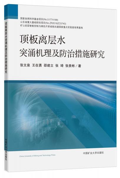 頂板離層水突涌機(jī)理及防治措施研究