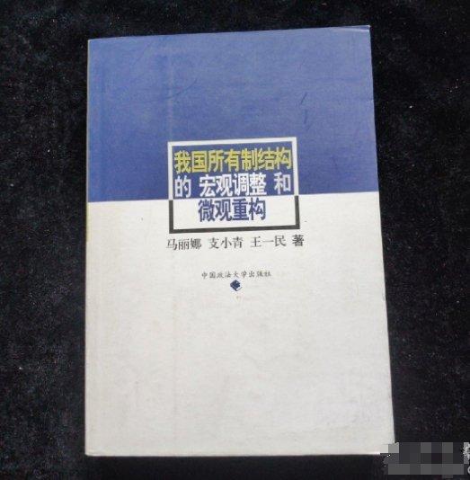 我國所有制結(jié)構(gòu)的宏觀調(diào)整和微觀重構(gòu)