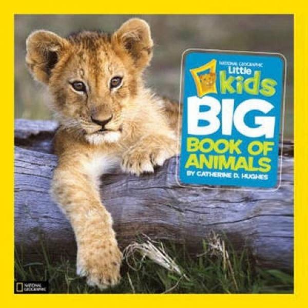 First Big Book of Animals 英文原版