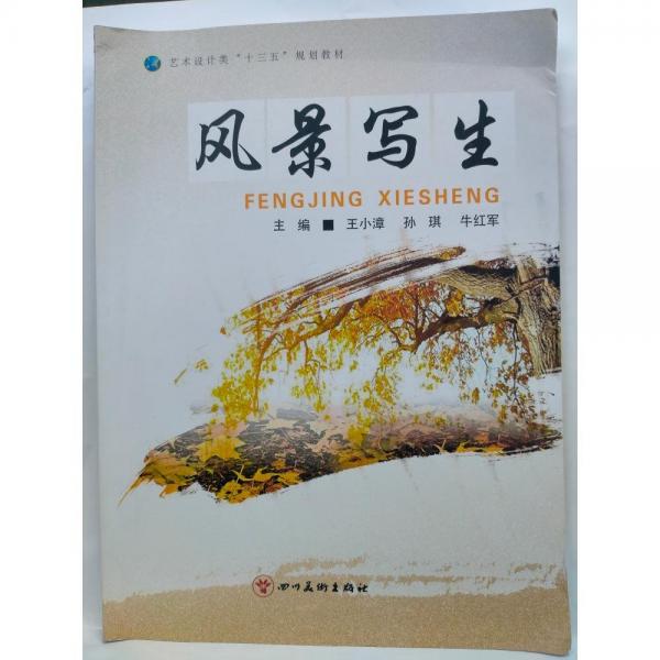 風(fēng)景寫生王小漳四川美術(shù)出版社9787541083587