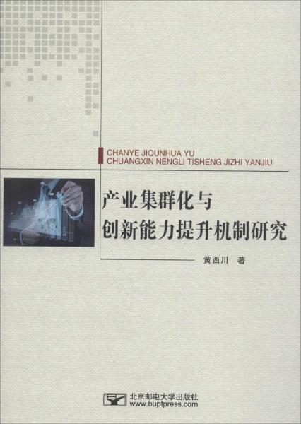 產(chǎn)業(yè)集群化與創(chuàng)新能力提升機制研究 