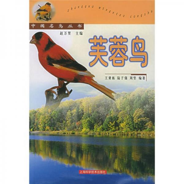 芙蓉鳥