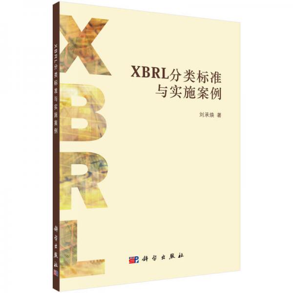 XBRL分類標(biāo)準(zhǔn)與實施案例