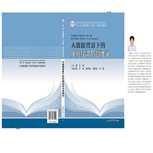 大數(shù)據(jù)背景下的環(huán)境經(jīng)濟(jì)與管理學(xué)