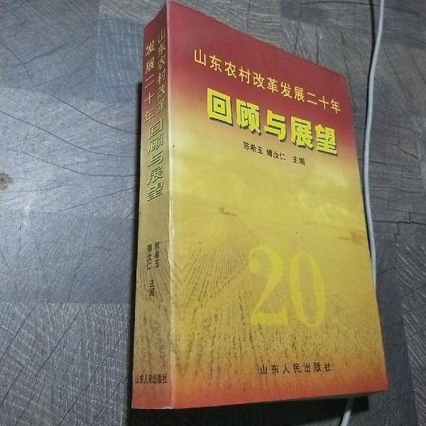 山東農(nóng)村改革發(fā)展二十年回顧與展望